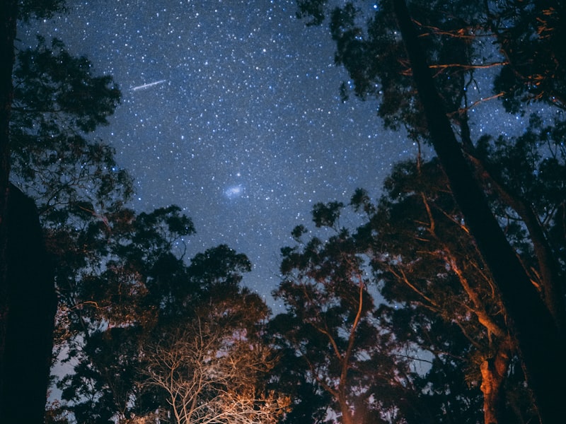 荒野露营场景，帐篷和篝火在星空下